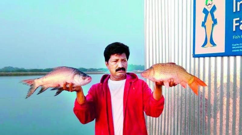 Nothing is wasted in nature; we only need to learn to tap resources properly. Now I am in the process of creating awareness among farmers, teaching them how to keep their fears aside and practice aquaculture, says Vijaya Bhaskar