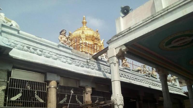 Palani Temple in Tamil nadu. (Photo: Facebook)