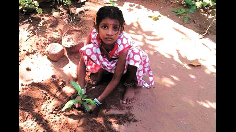 A young admirer of the library posing after planting a sapling.	(Photo: DC)