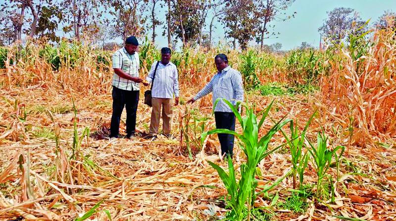 Officials inspect a damaged farm