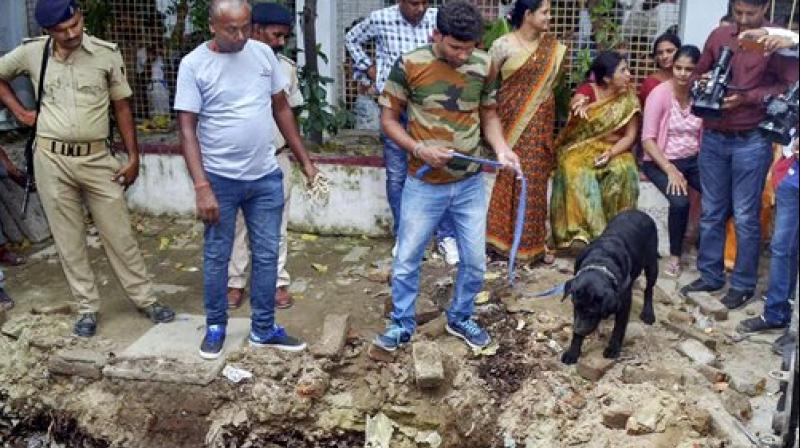 Police with their sniffer dogs investigate the site where a rape victim was allegedly buried, at a government shelter home in Muzaffarpur. (Photo: PTI)