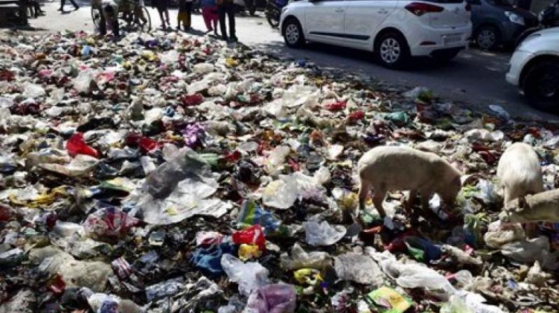 Earlier on Wednesday, the agitated staff dumped heaps of garbage at the office of Delhi Assembly Speaker Ram Niwas Goel and in other locations. (Photo: Representational Image)