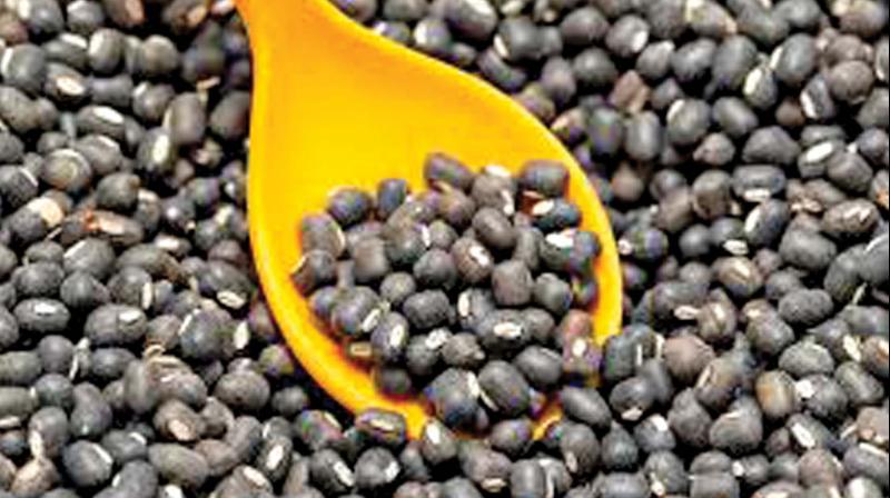 Prices of mustard seeds and fenugreek seeds have also declined from Rs 58 to Rs 48 and Rs 54 to Rs 50. Red chillies (long) have also moved down from Rs 75 to Rs 65, traders said.