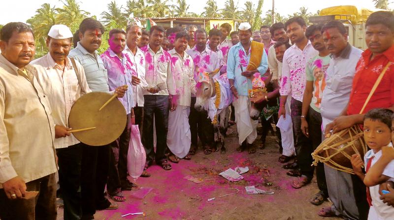 Farmers performing donkey marriage to appease the rain god in Banahatti in Bagalkot district
