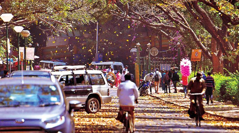 The situation is especially bad during peak hours, and traffic jams in the CBD have a cascading effect, throwing traffic out of gear across the city.