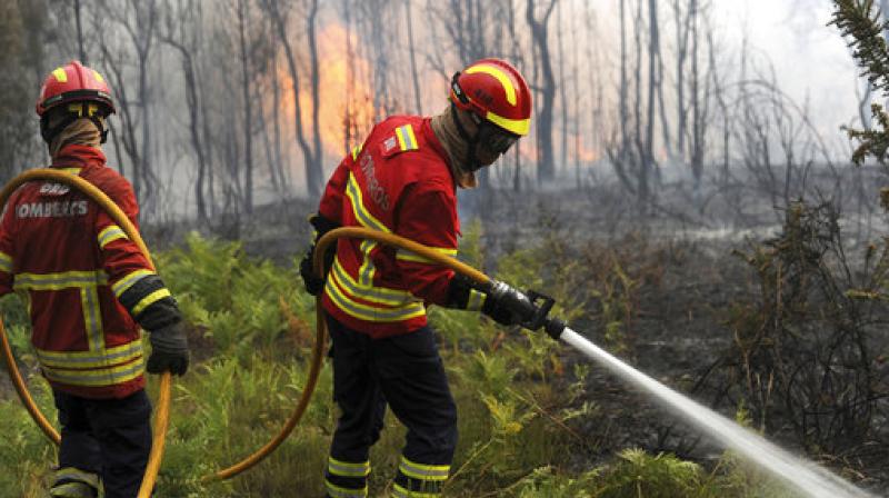 Portuguese firefighters work to stop a forest fire from reaching the village of Figueiro dos Vinhos central Portugal. (Photo: AP)