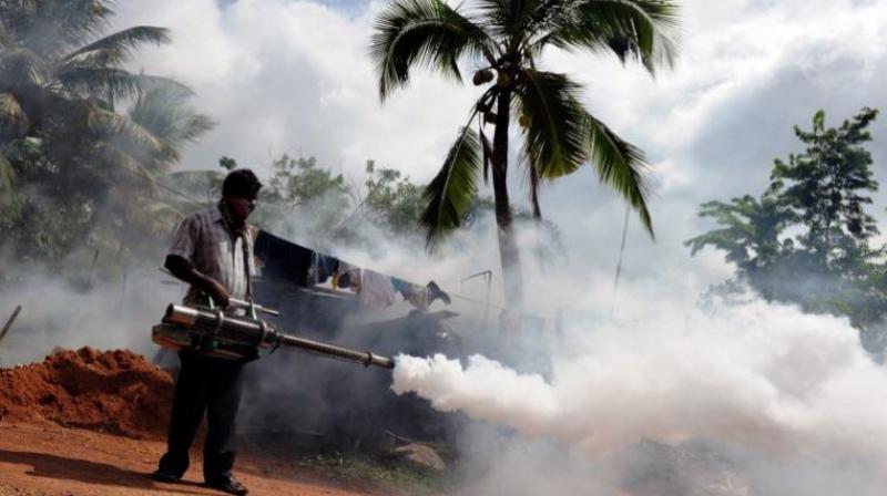 A Sri Lankan municipal worker fumigates insecticide. (Photo: AFP)