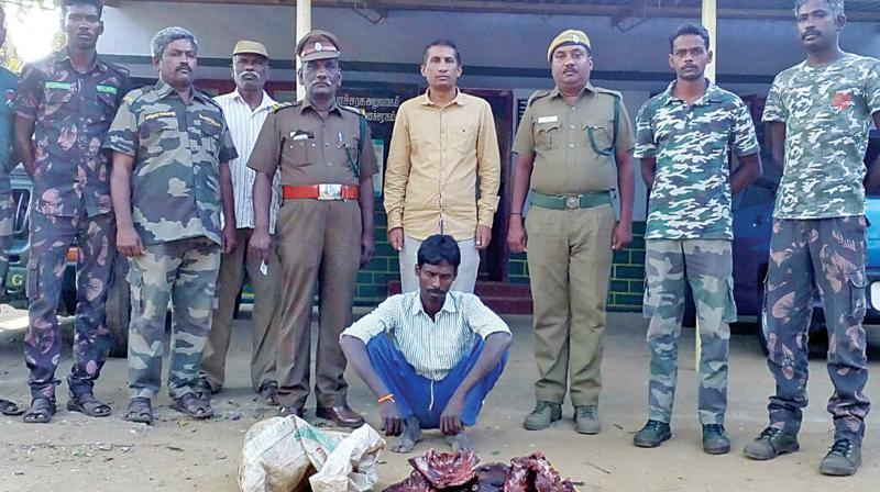 Foresters pose with arrested poacher and seized animal meat. (Photo: DC)