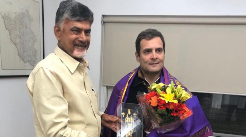 Andhra Pradesh Chief Minister N Chandrababu Naidu on Tuesday met Congress president Rahul Gandhi in Delhi. (Photo: Twitter | ANI)