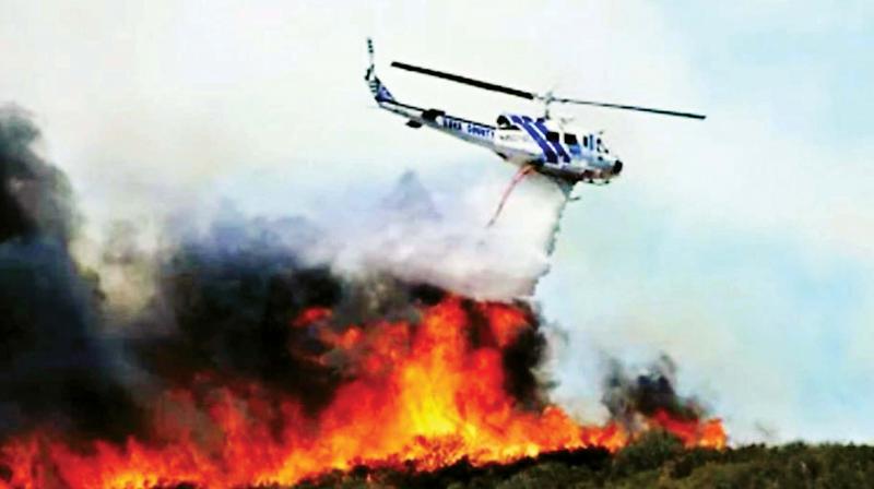 The fire has gutted thousands of acres of forests and is feared to have killed hundreds of wild animals, reptiles and insects. It has also endangered the lives of tigers.