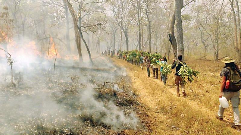 Volunteers on their way to douse the blaze in the reserve. (Image DC)