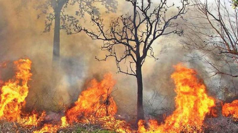 The exercise, which began around 2 pm, continued till 4.30 pm and the choppers are expected to resume their fire fighting on Tuesday after refueling. (Photo: DC/Representational Image)