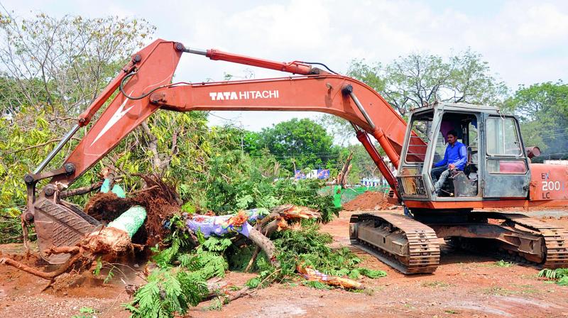 Trees are uprooted at the Bara Shaheed Dargah in Nellore city that some people say was only in the name of development.  (DC)