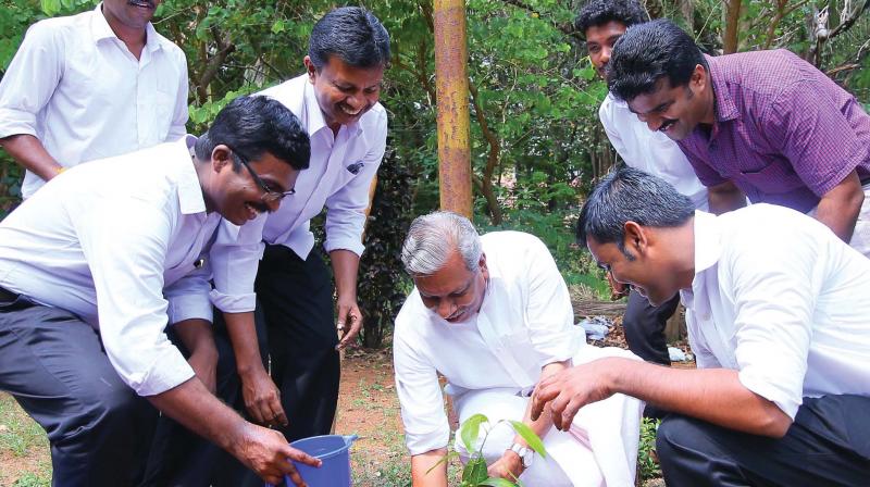 Industries minister A.C. Moideen plants a tree as part of the first anniversary of the LDF government at Ramanilayam Thrissur on Friday. 	(Photo: ANUP K VENU)
