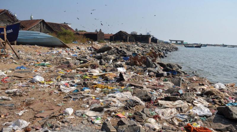 Waste dumped near Vellayil beach.(Photo: DC)