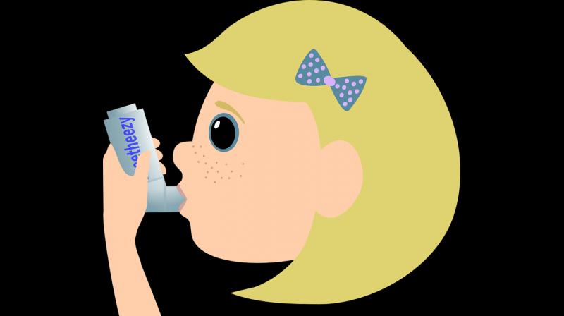 New study links ozone exposure to childhood asthma. (Photo: Pixabay)