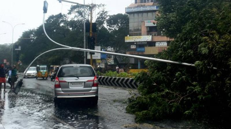 A car moves past an uprooted lamp post and tree following a storm in Chennai on Monday. (Photo: PTI)