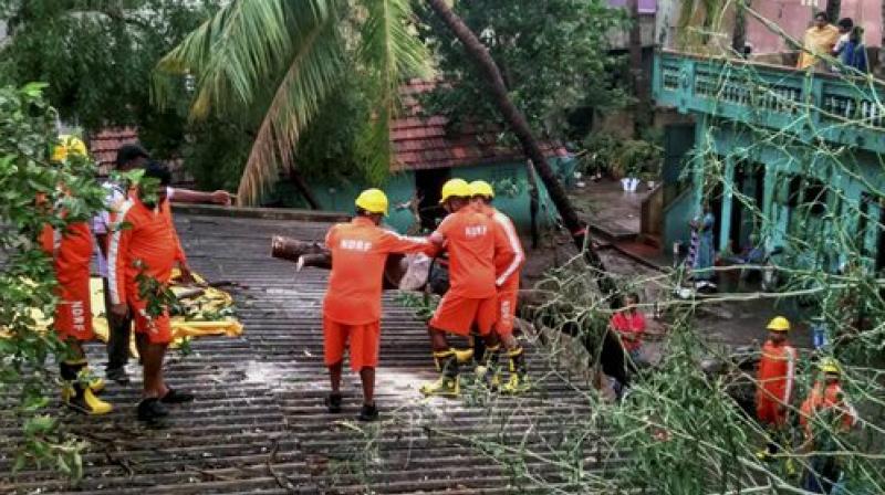 National Disaster Response Force (NDRF) personnel conducting relief operations in Cyclone Vardah hit Chennai city on Tuesday. (Photo: PTI)
