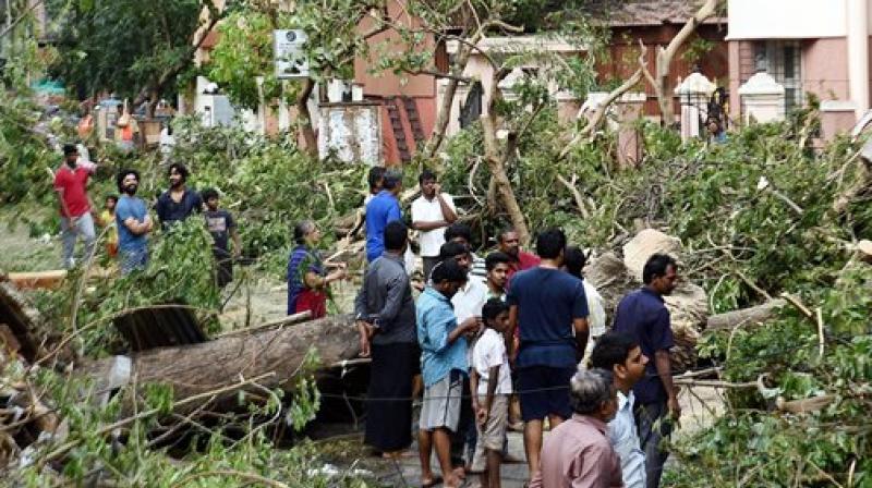 Residents looking at the uprooted trees in an area worst hit due to the Cyclone Vardah, in Chennai on Tuesday. (Photo: PTI)