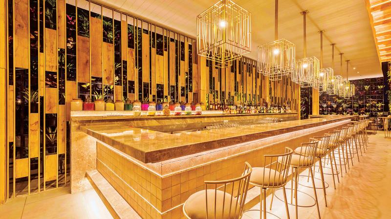 Chef Abhijit Saha differs in his treatment of a restaurant too - the wooden, trellised interiors, amber and candle lit hues and shrubbed spaces is a breath of fresh air.