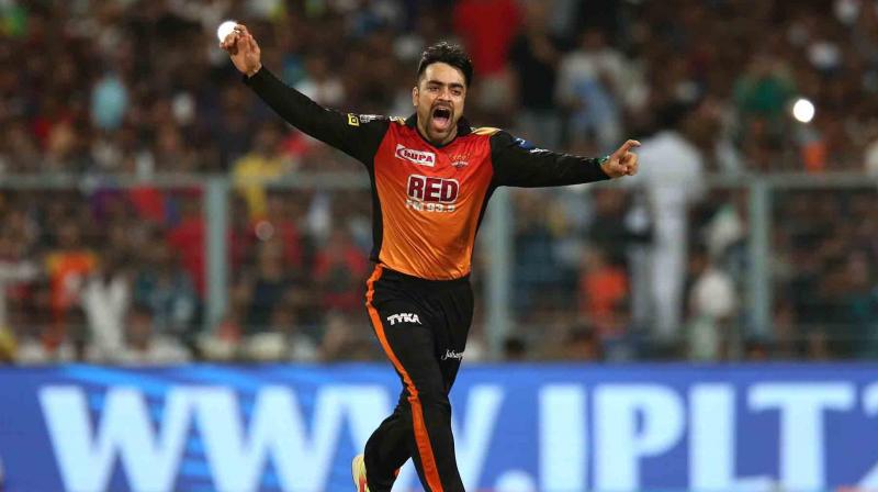 Karthik added that Rashid Khan is a quality bowler and up until now, the Kolkata Knight Riders had approached him well. (Photo: BCCI)