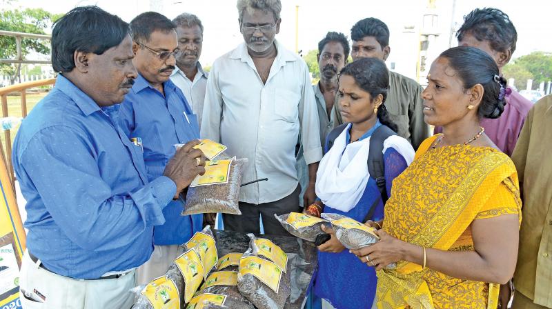 The manure packets  manufactured and sold by the Chennai corporation. (Photo: DC)