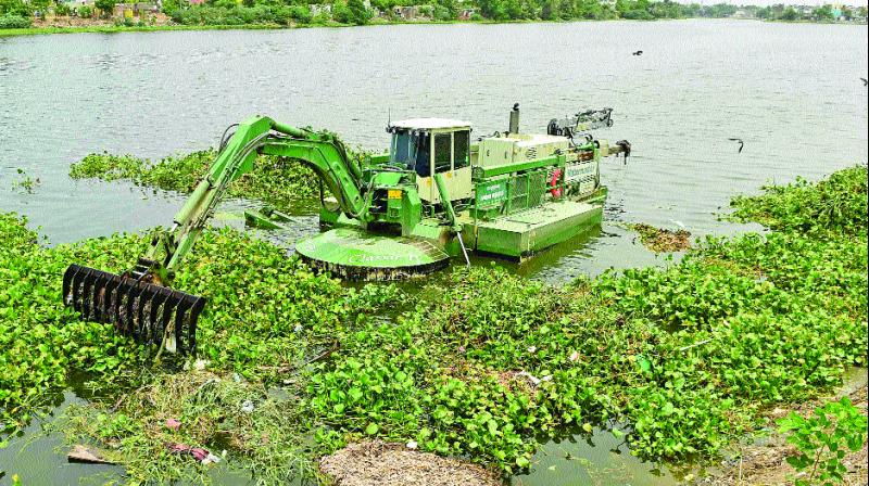 JCB clears weeds at Veerangal Odai.(Photo: DC)