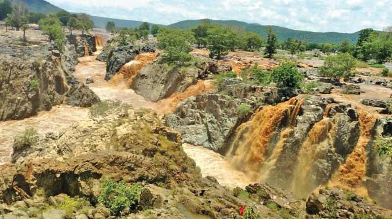 Good rainfall in catchment area brings heavy inflow into Hogenakkal (Photo: DC)
