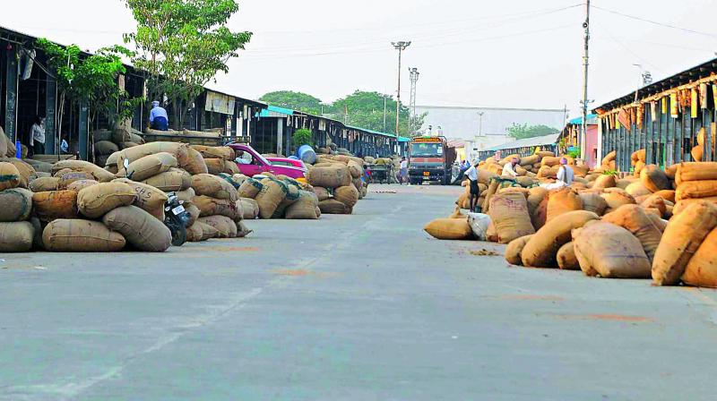 Farmers dump their produce at different stalls in the chilli market yard in Guntur on Wednesday.(Photo: DC)