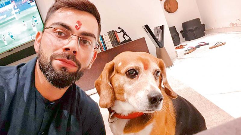Cricketer Virat Kohli enjoys spending time with Bruno. He says that he loves being lazy at home with his dog.