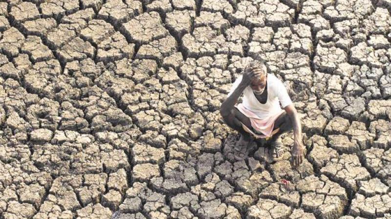 The war on drought announced with a lot fanfare by Andhra Pradesh Chief Minister N Chandrababu Naidu has failed to yield the desired results. (Photo: AP/Representational)