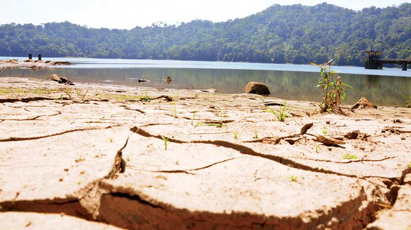 Peringalkuthu Dam Reservoir in Kerala barely weeks after flood waters receded (Photo: DC)