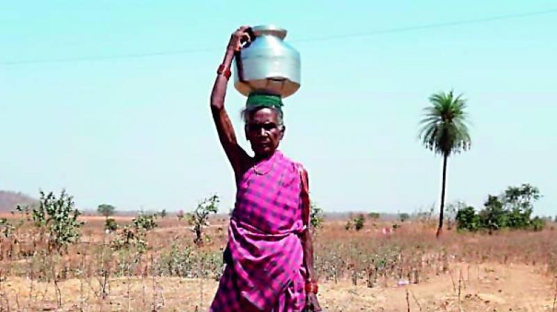 An elderly Adivasi woman from Palsi (B) village in Talamadugu mandal, Adilabad district carries water on her head after walking for a long distance. This is a common sight in most interior villages as summer sets in full force. 	 DC