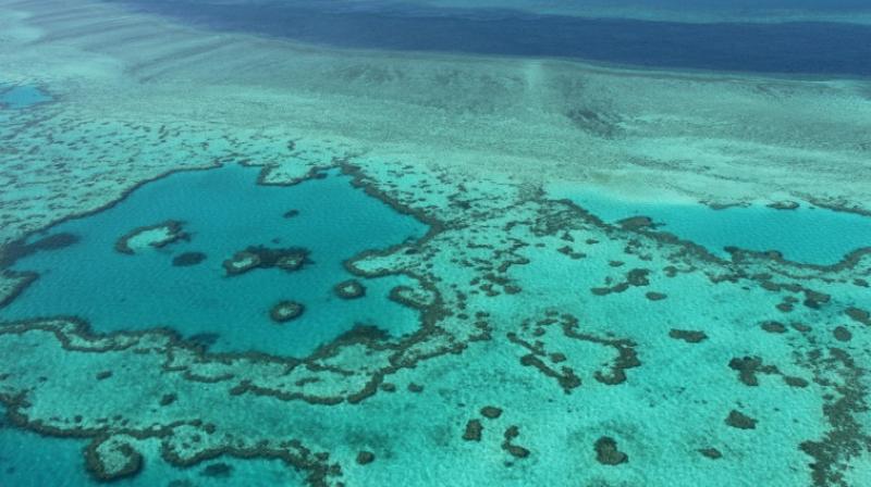 An aerial view of the Great Barrier Reef
