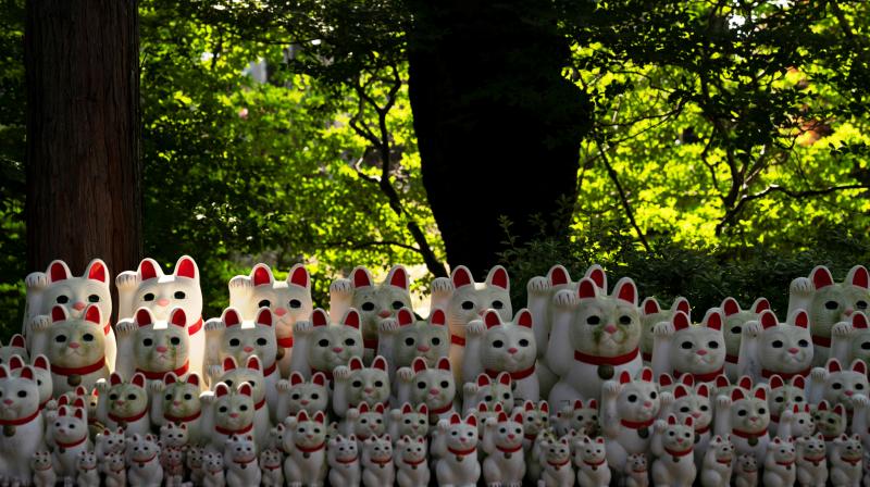Countless cats beckon visitors at a temple in a quiet Tokyo neighbourhood