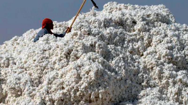 The cotton arrivals are in full swing now and gap of arrivals as compared to last year has narrowed down considerably in the preceding period