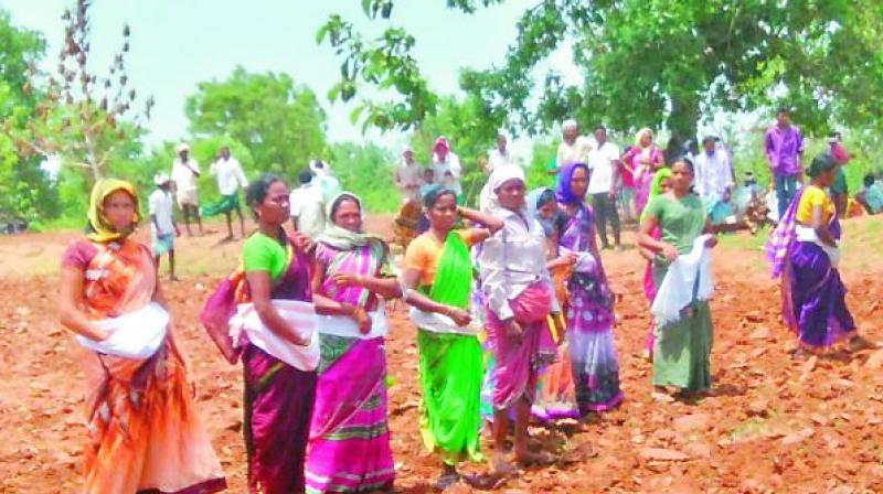 Adivasi women of Gondu Kothaguda village sow cotton and redgram seeds in the land, which was encroached by Lambada person, under the Danthanpalli gram panchayat limits of Utnoor mandal in Adilabad on Saturday.  (Photo:DC)
