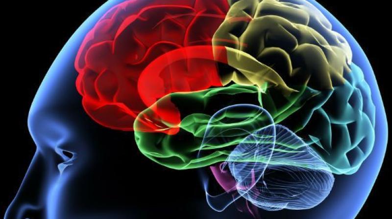 It is unlikely that the brain can ever be at true rest, researchers said. (Representational Image)