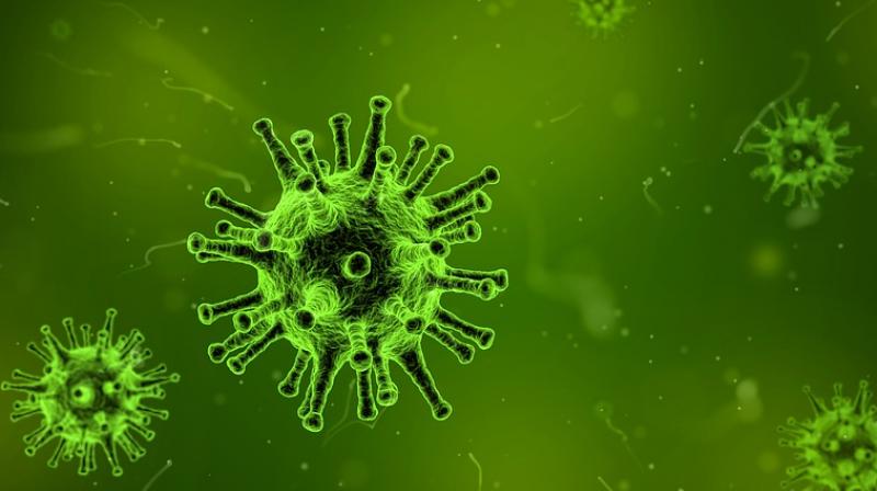 Scientists discover new way to attack herpesviruses. (Photo: Pixabay)