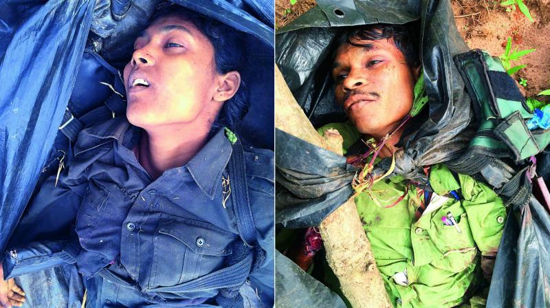 Two bodies of Naxalites recovered by Greyhounds from the encounter site