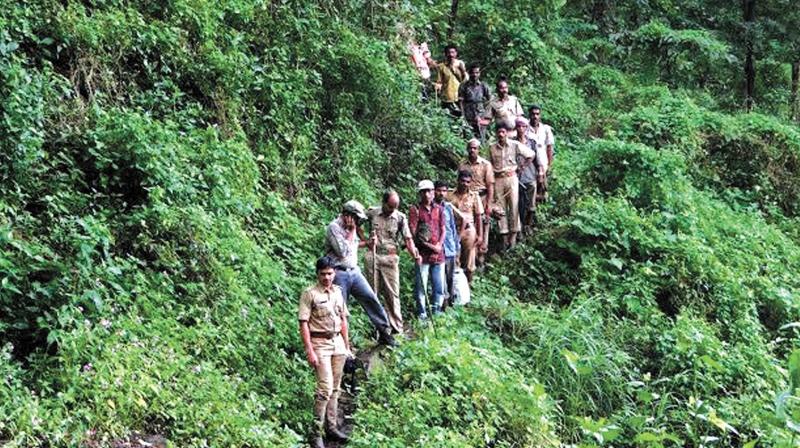 A joint team of forest and police on a jungle raid in the interiors of South Wayanad forest division close to Kerala-Tamil Nadu border. 	DC FILE