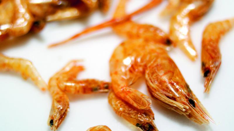 Dried river shrimp