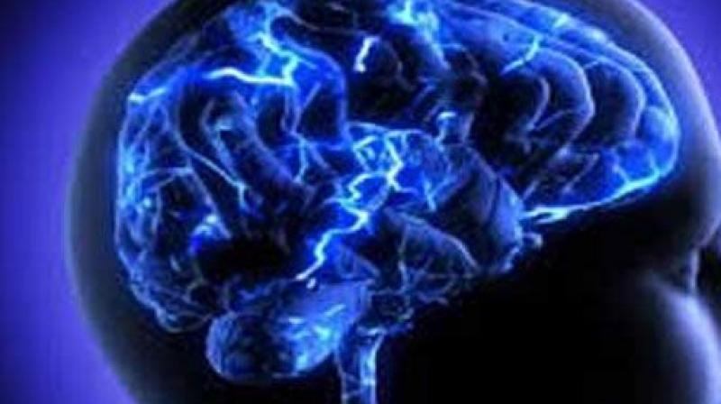 The training programmes researchers compared are tools scientists rely on to test the brains working memory (Photo: AFP)