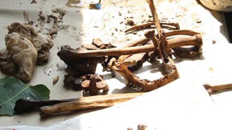 Some of the body parts were later taken out by the accused and buried  near the shores of Ashtamudi lake.