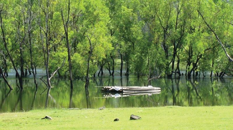 A view of Thonikadavu near Kakkayam. (Photo  FILE)