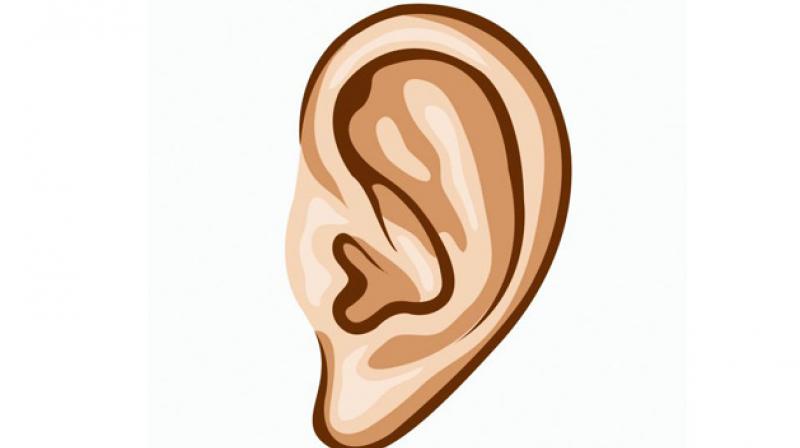 Loud sounds generated by recreational or occupational noise or music, must have proper protection systems in place. People must plug out and allow their ears to rest.