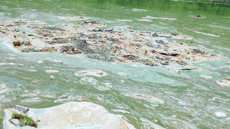 The polluted waters of Chaliyar river.