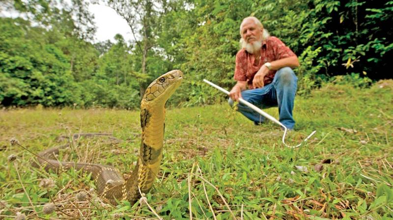 A still from the show  Indias Deadliest Snakes