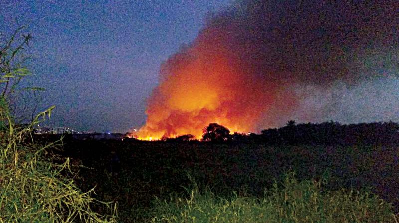 Smoke billowing from Bellandur Lake on Friday after it caught fire.