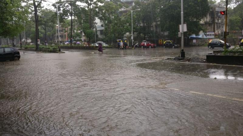 Water-logging was reported in low-lying areas of Parel and Sion. A tree fell on the busy Saat Rasta road, affecting road traffic. (Photo: DC)